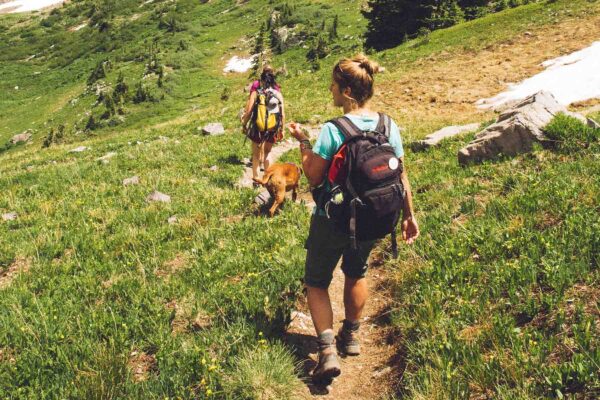 Zeckenimpfung FAQ (häufig gestellte Fragen)